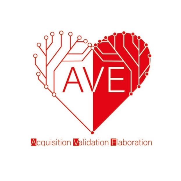 AVE Project